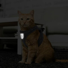  Escape Proof Cat Harness and Leash XS-Chest girth: 10-12" Width: 0.6in Grey
