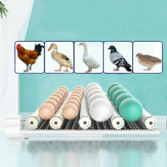 24 Eggs Incubator Automatic Digital Hatcher for Chicken Duck Poultry Incubation