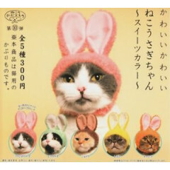 NEW KITAN Club Cute cat and dog Rabbit 5 costumes set from Japan Free Ship