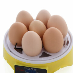 Mini Incubadora Automática de Huevos de Gallina Pato para 7 Huevos Fácil de Usar
