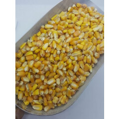 Whole Raw/Re-CLEANED Corn Animal Feed or Arts & Crafts Choose Size RESEALABLE