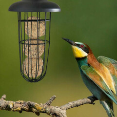 7.8''Hanging bird feeder garden wild seed container anti-lantern shape outdoor