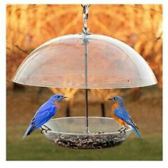 Woodlink NABBFDR Dome Top Seed & Bluebird Bird Feeder