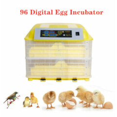 96 Digital Clear Egg Incubator Hatcher Automatic Egg Turning Temperature Control