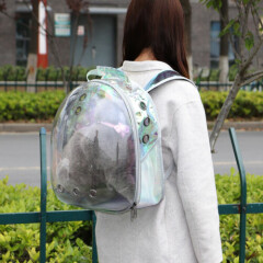 Cat Portable Bag Breathable Mesh Travel Pet Carrier Outdoor Transparent Backpack