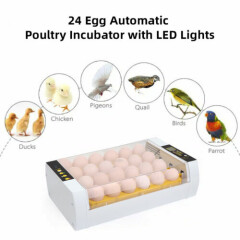 Egg Incubator 24 Egg Fully Automatic Poultry Incubators LED Light Injector