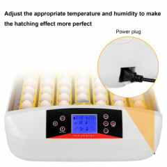 42-Egg Practical Fully Automatic Poultry Incubator with Egg Candler US Standard