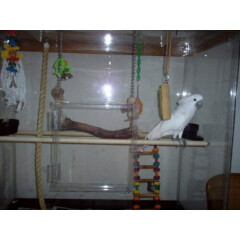 Amazon Cage, for Medium to Large Birds, Parrots, and Macaws with BLACK BASE