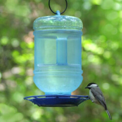 Bird Water Bottle Feeder Wild For Birds Variety Drink Hanging - New
