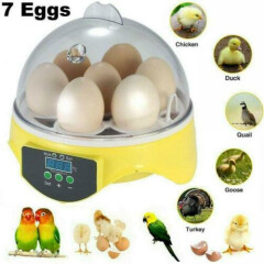 Adjustable 7 Egg Incubator Hatcher Digital Clear Temperature Control Duck Bird