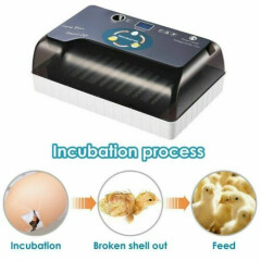 Fully Automatic Egg Incubator Auto Turning Small Digital Poultry Hatcher Machine