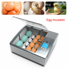 Automatic 16 Digital Egg Incubator Hatcher 110V 12V Temperature Control Chicken