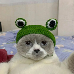 Cute Pet cat Kitten frog prince Hat Tiara Knit Headgear Decorative Xmas Decor