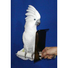 COCKATOO PARROT perfect TRAVEL CAGE LARGE BLACK 3 cups. pedicure perch 24w18d20h