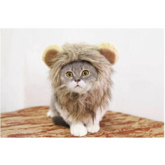 Cute Lion Mane Cat Wig Pet Small Dog Cats Costume Lion Mane Wig Cap Hat for Cat 