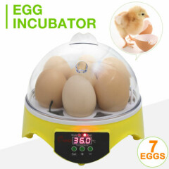 Mini Incubadora Automática de Huevos de Gallina Pato para 7 Huevos Fácil de Usar
