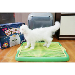 Alpha Dog Series - Plastic Mesh Cat Litter Trapper Trays