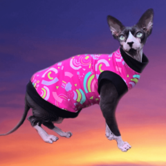 Sphynx Cat Shirt Pink Rainbow Print - Clothes Clothing Cotton Coat T Vest Jumper