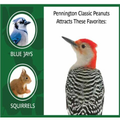Pennington Shelled Peanuts Wildlife and Wild Bird Food, 5 lb. Bag