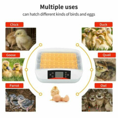 42 Digital Egg Incubator Hatcher Temperature Control Automatic Turning USA