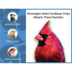 Wild Bird Feed Food Pennington Select Sunflower Hearts Chips No Shells 5 Lb Bag