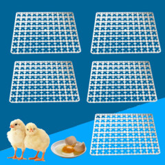 5pcs 88 Farm Chick Egg Incubator Tray Duck Egg Tray Egg Storage For Egg Hatcher