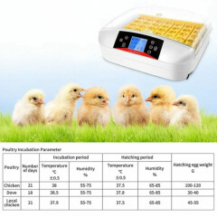42 Egg Incubator Digital Automatic Hatcher Hatching Chicken Duck with LED Light