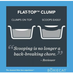 Boxiecat Premium Clumping Cat Litter - Scent Free - Clay Formula - Ultra Clea...