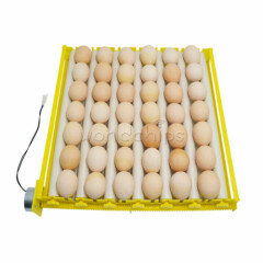 11V/220V 360° Automatic Rotary Egg Turner Roller Tray 42Egg Hatching Incubator