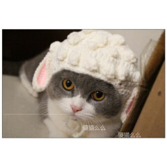 Pet Kitten Woolen Cap Knitted Cosplay sheep Cap For Cat Holiday Party Accessory