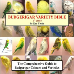BUDGERIGAR VARIETY BIBLE (Reference book supplied on a USB memory stick)