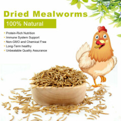 Natural Dried Mealworms 10oz Protein Bulk Food for Chicken Fish Turtles Birds US