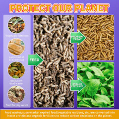 30LB Dried Mealworms 100%Natural Non-GMO Dried - High-Protein,Fit Birds Chickens