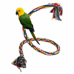 Bird Cockatiel Chew Climbing Ropes Budgie Bell Perch Coil Swing Cage Toy US