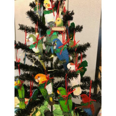 PARROT Sun Conure CHRISTMAS HOLIDAY TREE ORNAMENT 