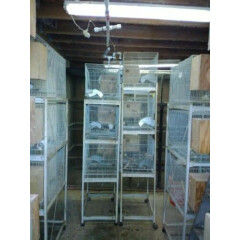 PARAKETE BREEDING CAGES BOXES STANDS & AUTOMATIC WATERS 