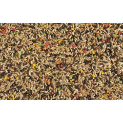 Mixed Bird Food Canary Seed Breeders Millet Flax Vitamin Birds Food 900 Grams