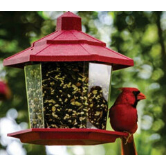 Aududon Park 12231 Cardinal Blend Wild Bird Food 4pounds 2