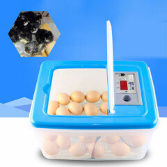 Digital Nontoxic Poultry Egg Brooder Chicken Incubator Nontoxic Pet Supplies USA