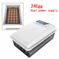 24 Eggs Auto-Turning Egg Incubator For Hatching Bird, Chicken, Pigeon, Duck Egg