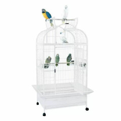 King's Cages SLT 3628 Large Parrot Cage 36x28x69 Bird Toy Toys African Grey Lory