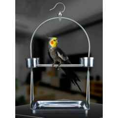 Stainless Steel Parrot Bird Stand Rack Circle Perch Shelf Play Activity Toy Hook