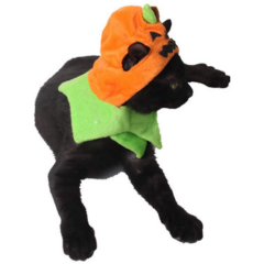 Halloween Pumpkin Cat Hat Cat Cosplay Costume Cap Kitty Cat Collar NEW