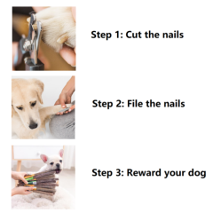 Pet Dog Toe Nail Cutters Professional Safe Trimmers with File Grooming at Home