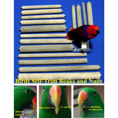 BEST Parrot Bird PERCH 3/4 x 5 inch indestructIble textured stone trims nails
