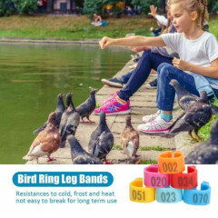 100Pcs Leg Bands Plastic Chicken Pheasant Poultry Duck Bird Leg Rings ID Tags US
