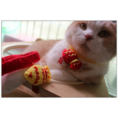 Pet Kitten Wool Knitting Scarf Collar Cat Dog Circle With mini FU Fish pendant