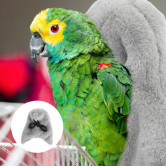 2pcs Comfortable Soft Portable Durable Soft Parrot Blanket Parrot Warm Blanket