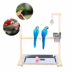 Wooden Parrot Birds Tabletop Stand Wood 2 Cup in1 Feeder Cup Training Bird Stand
