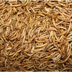 5 LB Dried Mealworms High Protein Bulk Food For Chicken,Bird,Turtle,Fish,Duck